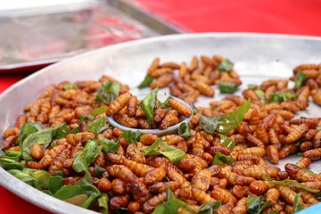 Fried insect at street food