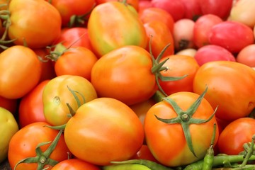 tomatoes at the market