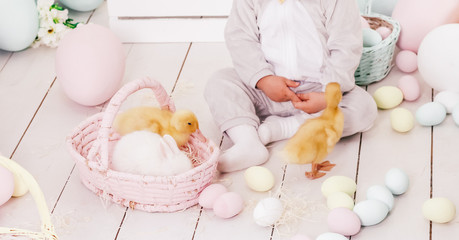 Fototapeta na wymiar Easter composition, bunny and ducklings