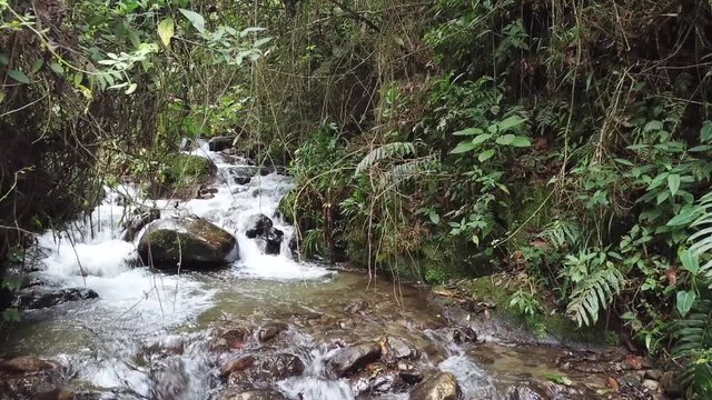 fly away, close up of river and vegetation