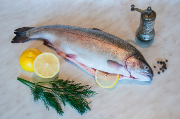 Raw trout with slices of lemon, bunch of dill and pepper mill on a marble background. Fresh fish dish. Food preparation. Cooking.