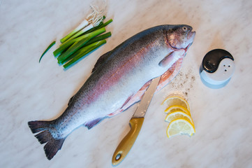 Raw trout with knife, green onion, slices of lemon,  pepper and salt on a marble background. Fresh fish dish. Salt and pepper shaker in the shape of a yin-yang. Food preparation. Cooking.