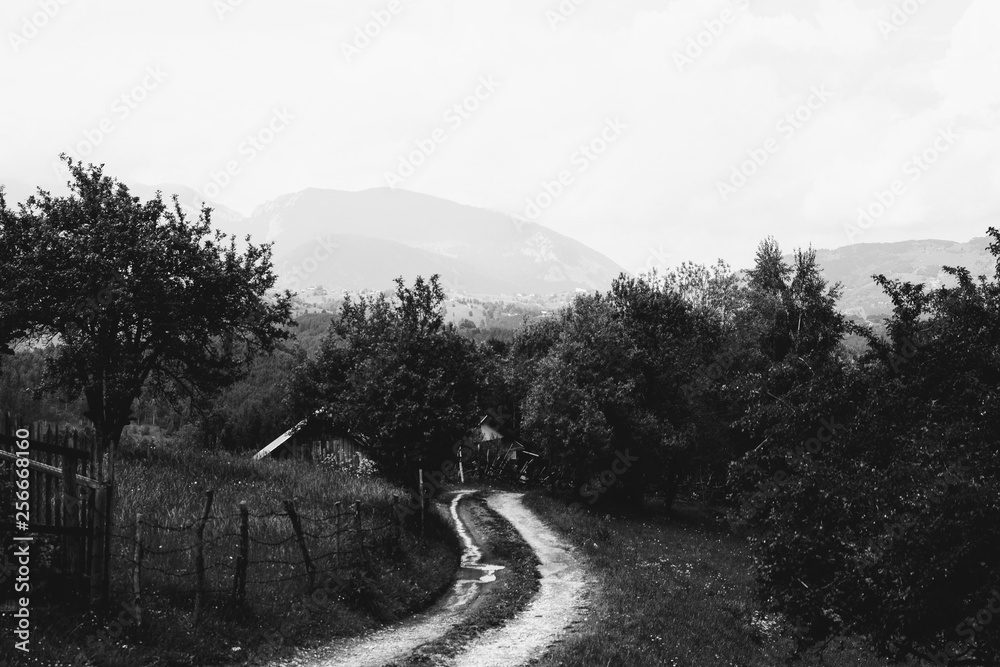 Wall mural B&W muddy road