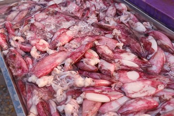 Fresh squid in market