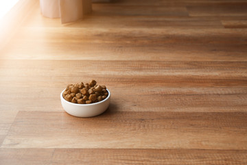 Bowl with dry pet food on floor