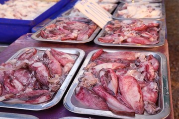 Fresh squid in market