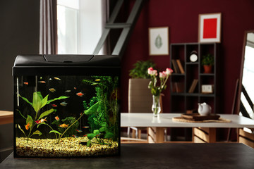 Beautiful aquarium on table in room