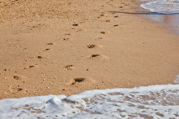footprints in sand
