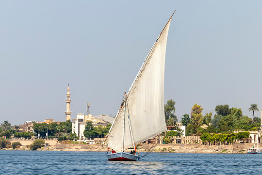 Faluca boat sailing in Nile river