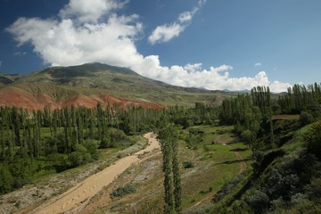 Fototapeta premium Field of poppies against the setting sun.turkey