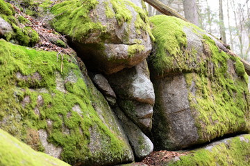 Schlafender Steinmann im Wald. Kuriose Felsformation die sehr menschlich aussieht