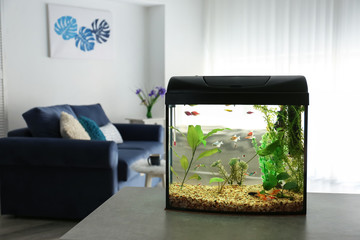 Beautiful aquarium on table in room