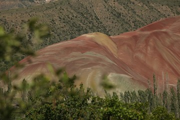 sunlight illuminating the forest.oltu/erzurum/turkey