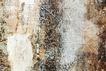 texture of old wall