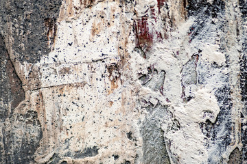 texture of bark of tree