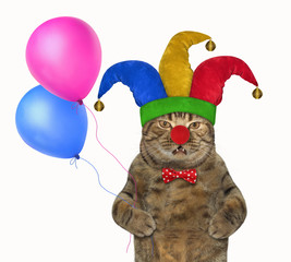 The funny cat in a jester hat holds two color balloons. April fools day. White background. Isolated.