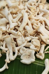 Fresh mushrooms for cooking at street food