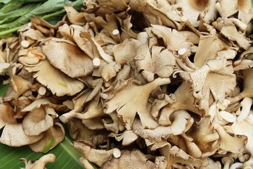 Fresh mushrooms for cooking at street food