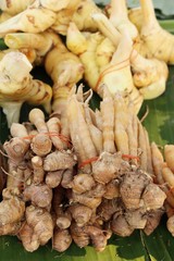 Ginger root for cooking in the market