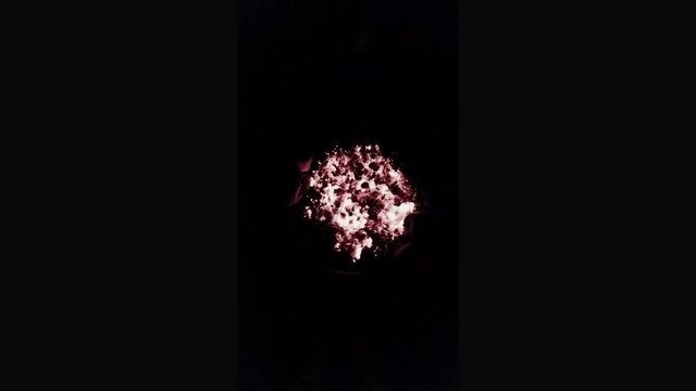 Embers glowing from a campfire.