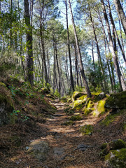 Path of the fishermen in Gredos, Spain