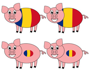 a smiling and happy pig raised in Romania