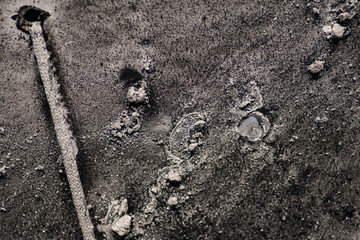 footprint in sand