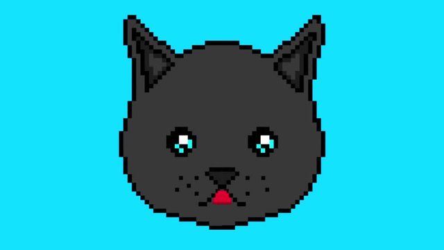 The pixel cat moves with his eyes and shows the tongue on a blue background background. Ready to use in any project.