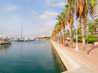 Beautiful promenade in Alicante. View of palm trees and port. Spain.