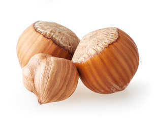 Hazelnuts isolated on white background with clipping path