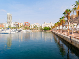 Obraz premium Beautiful promenade in Alicante. View of palm trees and port. Spain.