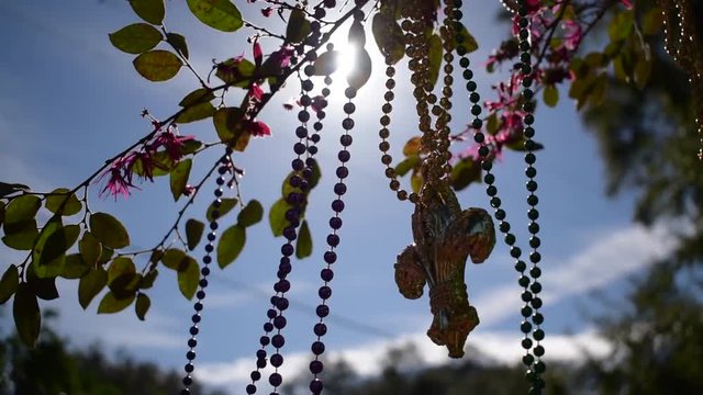 Sunny outdoor Mardi Gras beads and fleur de lis on tree branch flowing in wind