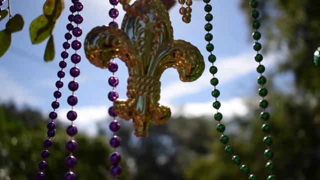 Sunny outdoor Mardi Gras beads and fleur de lis on tree branch blowing in wind
