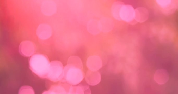 Defocused, blurred bokeh and abstract blurred pink light element for cover decoration background. Royalty high-quality free stock video footage of colorful light, glowing backdrop overlay for design