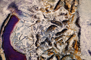 texture of bark of a tree