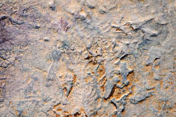 texture of old wall