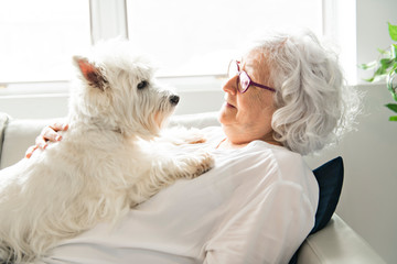 The Therapy pet on couch next to elderly person in retirement rest home for seniors