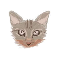 Watercolor Cat face illustration vector
