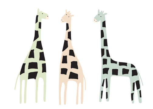 Giraffe set. Animal collection. Summer background. Vector illustration