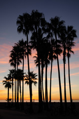 Obraz premium sunset on the beach