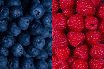 blueberry and raspberry/ arándanos y frambuesas