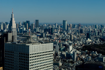 Japan cityscape bird eye view at noon