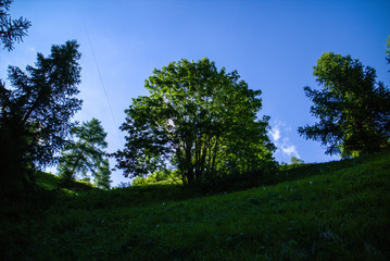 Obraz premium Valle del Lys, Alpenzu, Valle d'Aosta, Gressoney