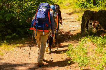 Backpackers on a forest trail in Alpine Lakes Wilderness, Washington