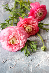 Beautiful flowers bouquets 