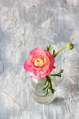 Beautiful flowers bouquets in glass vases