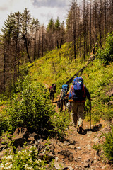 Hikers backpackers on a forest trail in Alpine Lakes Wilderness, Washington