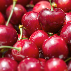 Cherries closeup
