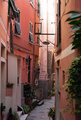 Characteristic very narrow street of Vernazza one of the five cities of Liguria