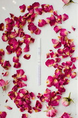 Pregnancy test and rose petals